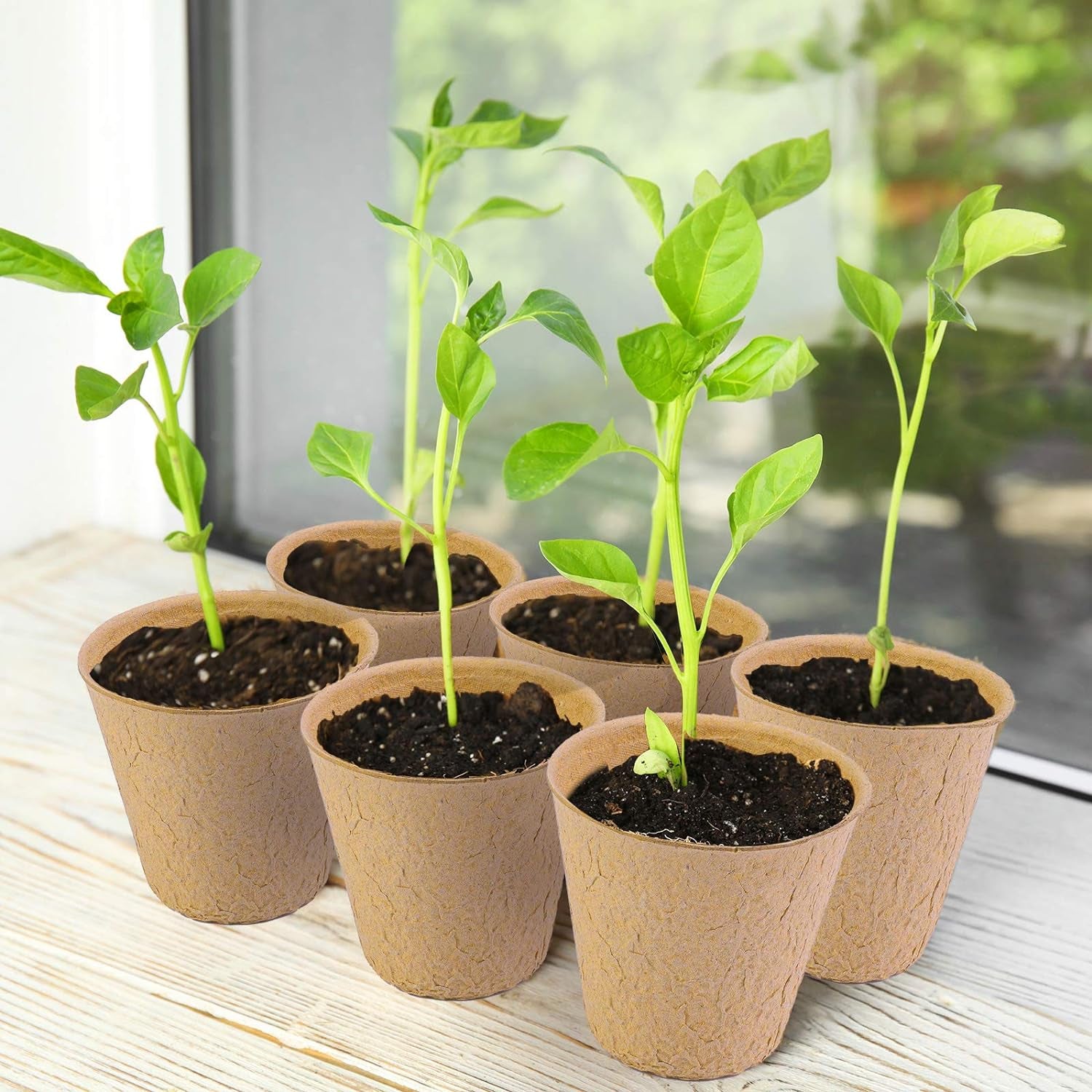 120 Pieces Peat Pots Seed Starter Eco-Friendly Enhance Aeration with Plant Tags for Home Plant Starters