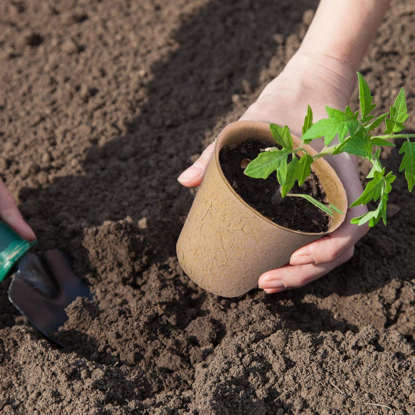 120 Pieces Peat Pots Seed Starter Eco-Friendly Enhance Aeration with Plant Tags for Home Plant Starters